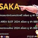 ทางเข้าarea slot